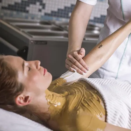 布里斯托宫酒店 酒店 4*