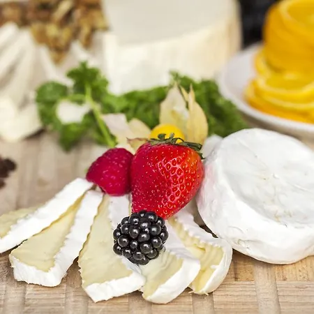 布里斯托宫酒店 酒店 卡罗维发利